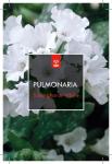Pulmonaria off. 'Sissinghurst White
