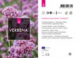 Verbena bon. 'Lollipop'