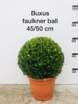 Buxus micr. 'Faulkner', bol
