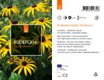 Rudbeckia f. 'Goldsturm'