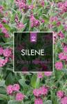 Silene dioica 'Rollies Favorite'
