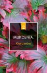 Mukdenia rossii 'Karasuba'