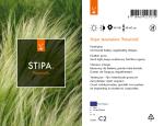 Stipa tenuissima 'Ponytails'