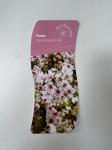 Prunus incisa 'Kojou-no-mai'
