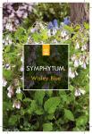 Symphytum grand. 'Wisley Blue'