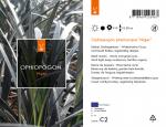 Ophiopogon plan. 'Niger'