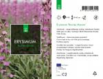 Erysimum 'Bowles' Mauve'