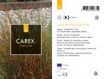 Carex testacea 'Prairie Fire'