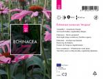 Echinacea p. 'Magnus'