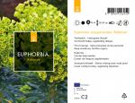 Euphorbia amygdal. robbiae