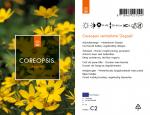Coreopsis vert. 'Zagreb'