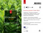 Euonymus jap. 'Green Spire'