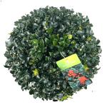Ilex meserv. Blue Maid, bol