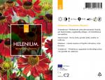 Helenium 'Moerheim Beauty'