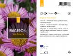 Erigeron gl. 'Sea Breeze'