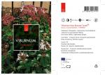 Viburnum tin. Lisarose