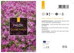 Phlox (S) 'Crimson Beauty'