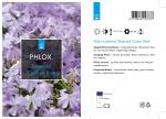 Phlox (S) 'Emerald Cushion Blue'
