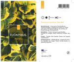 Euonymus jap. Marieke