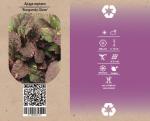 Ajuga reptans 'Burgundy Glow'