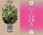 Hedera helix