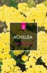 Achillea 'Moonshine', geel