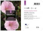 Geranium sanguineum striatum