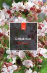 Geranium cant. 'Biokovo', wit