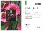 Geum Tempo Rose