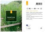 Panicum virgatum 'Northwind'